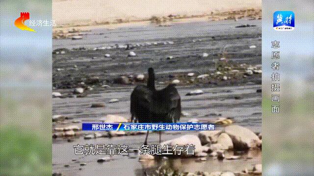 DƬ